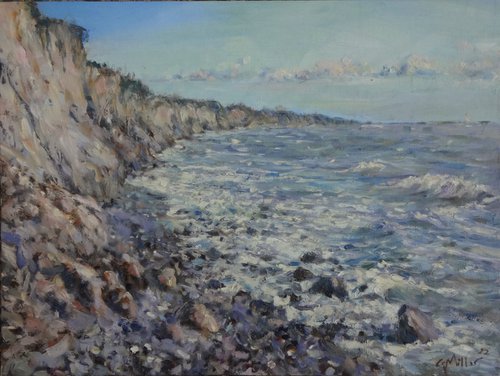 Baltic Seashore by Gerry Miller