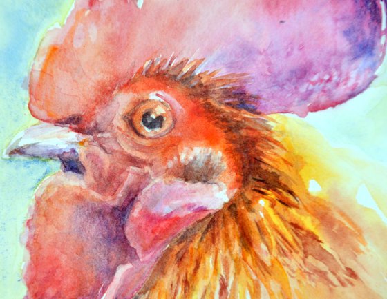 ROOSTER'S PORTRAIT