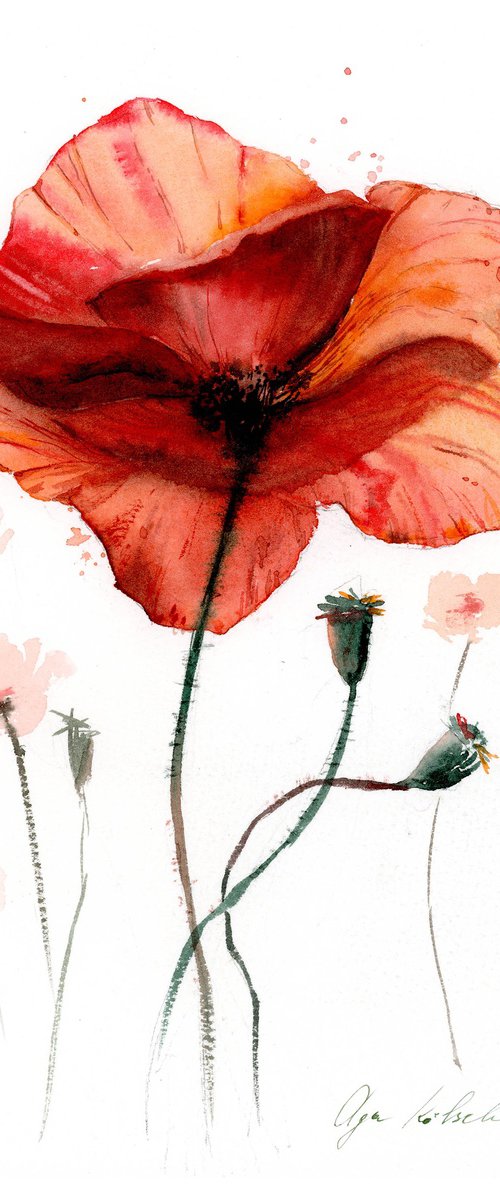 Watercolor abstract poppy by Olga Koelsch