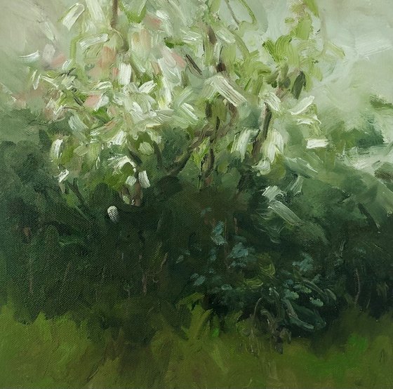 blossom