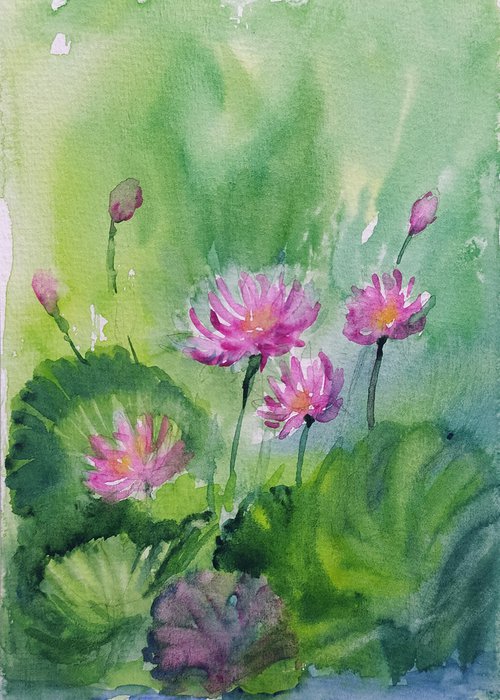 Pink Water Lilies Sl. No 16 by Asha Shenoy