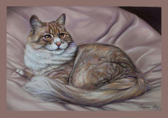 Pastel cat portrait