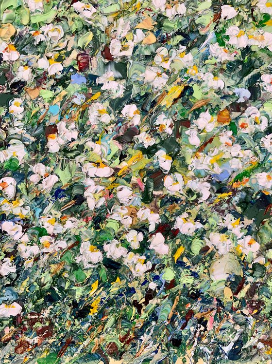 White daisies in the field