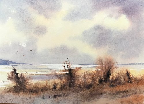 View from the dunes by Vicki Washbourne