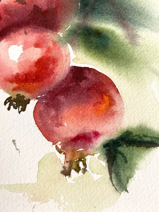 Pomegranates, 27,5x18,5 cm watercolor, red, still life, gift, small size