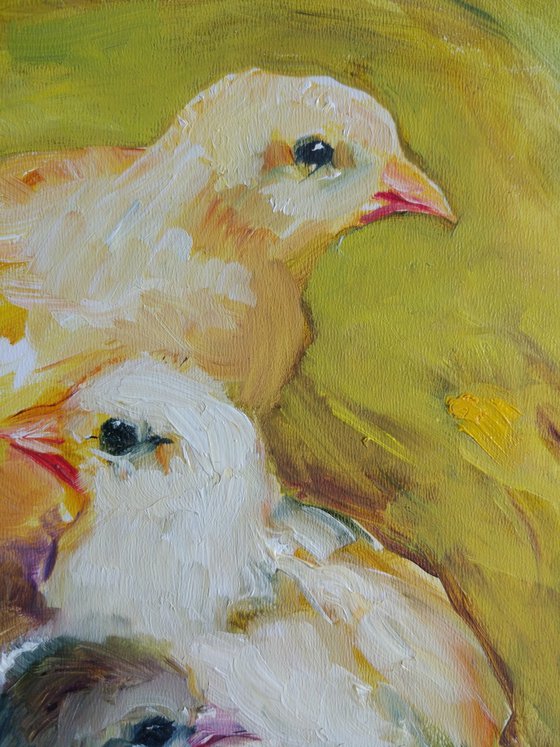 Chickens . Summer morning
