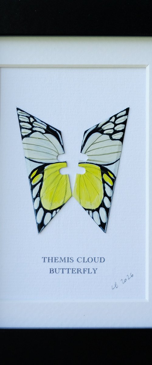 Themis Cloud butterfly by Lene Bladbjerg
