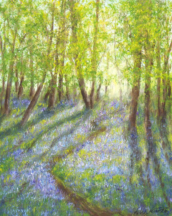 Bluebell forest