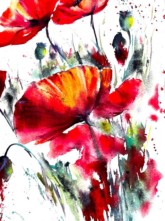 Red Poppies Watercolors
