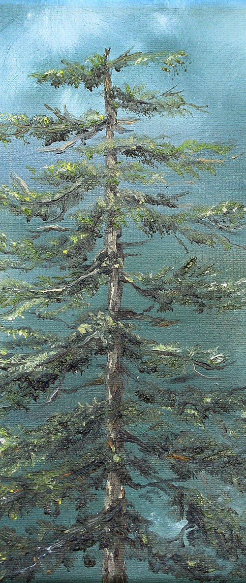 Evergreen Sentinel by Katerina Koroleva