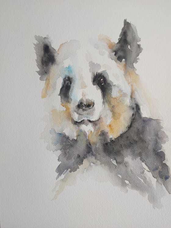 Panda in watercolour