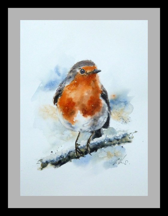 A Winters Robin