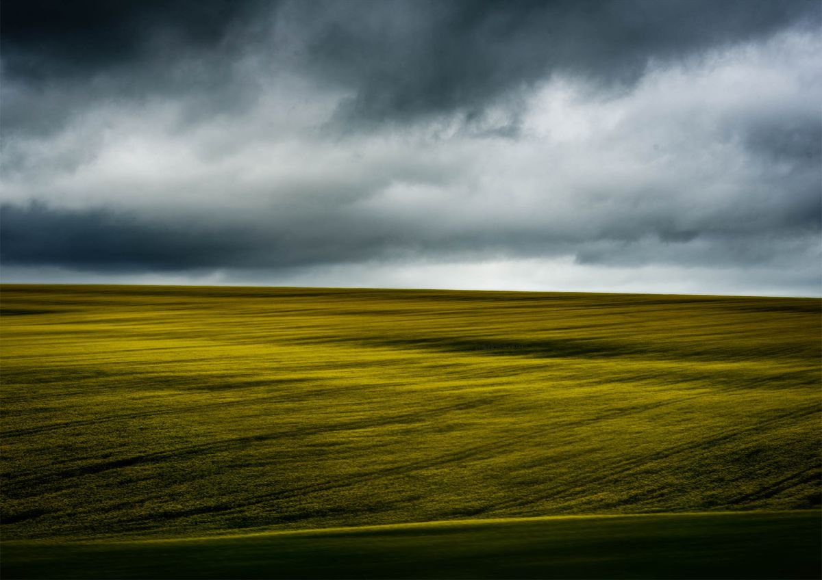 Fields of Gold by Tracie Callaghan