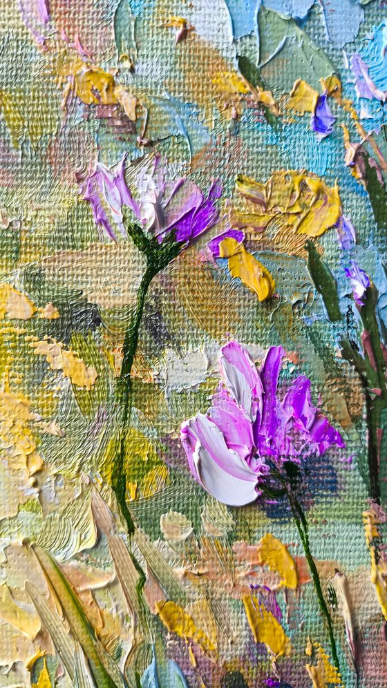 Where the Sun Feels Like Home