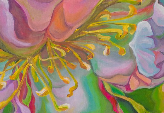 Flower of Passion