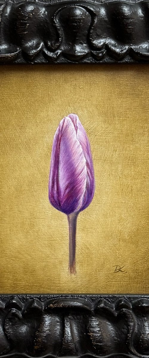 Purple Queen by Daiva Karaliute