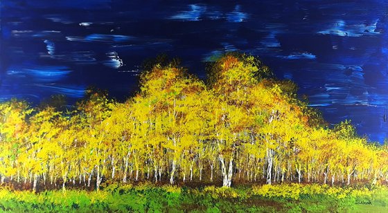 Autumn birch forest