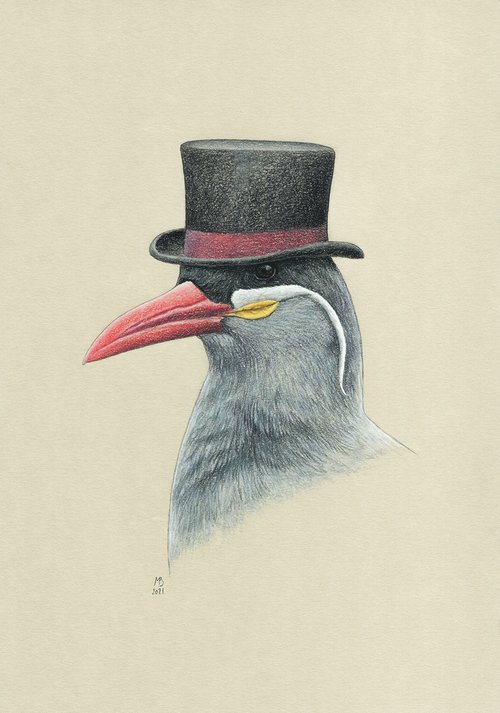 Inca tern by Mikhail Vedernikov