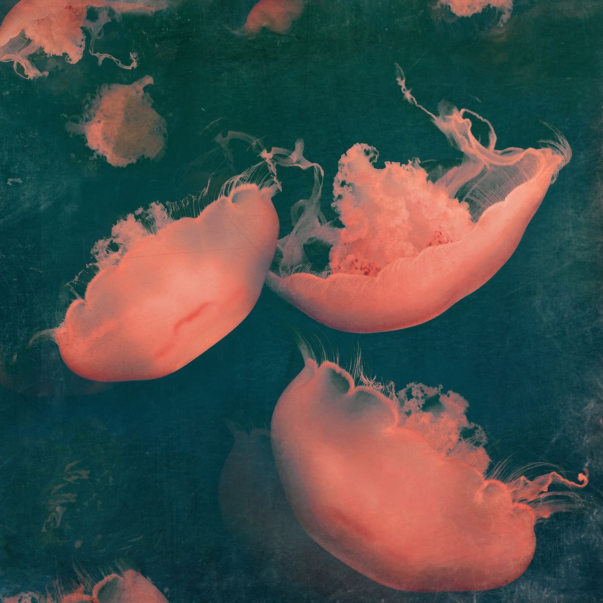 Photorealistic Animal Photograph By Nadia Attura, 28 X 28", Monterey Green, Original Artwork