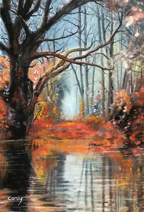 Autumn colours by Darren Carey