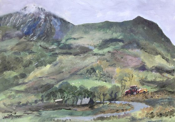 Cadir Idris mountain painting