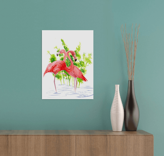 Two Flamingo