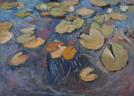 Water lilies VI