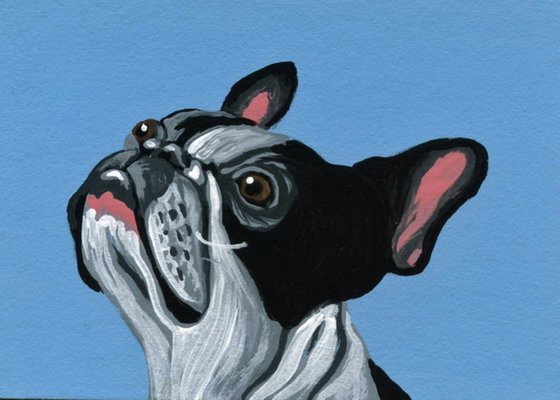 ACEO ATC Original Miniature Painting Black White French Bulldog Pet Dog Art-Carla Smale