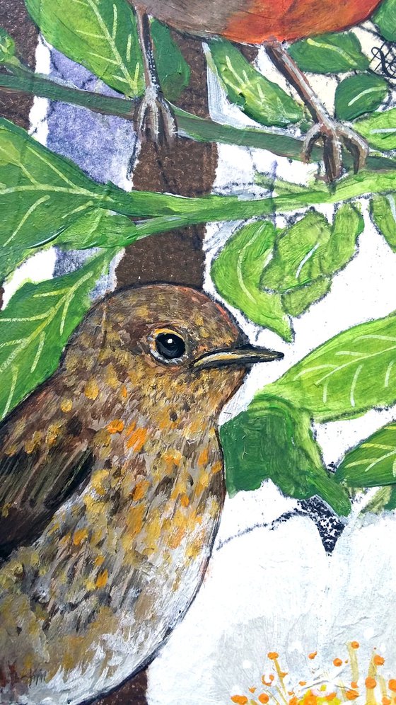 The Robin apprentice -  Framed ready to hang original artwork