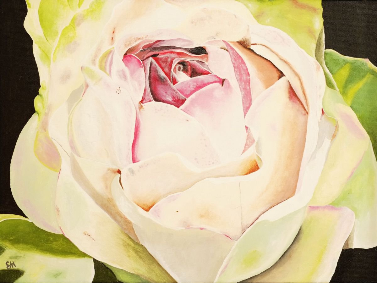 The Rose by Saskia Huitema