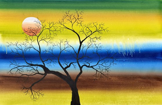 Desert spring