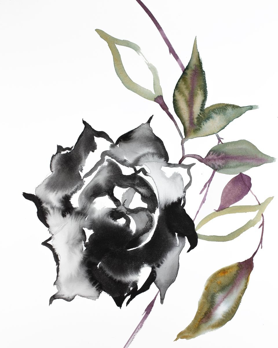 Black Rose by Elizabeth Becker