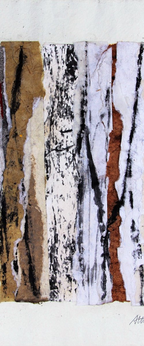 Bark by Assumpció Mateu