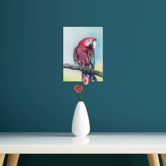 Red Parrot/Bird Series