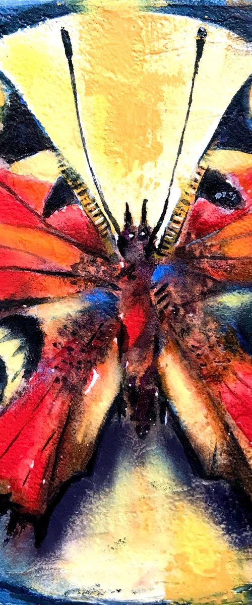 Peacock Butterfly by Monika Jones