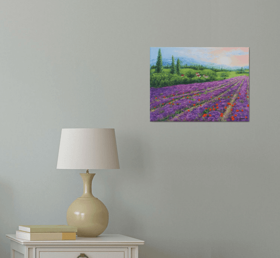 Purple lavender field