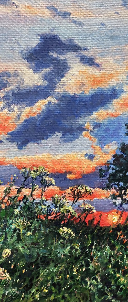 Evening Light - Sunset by Zoe Elizabeth Norman