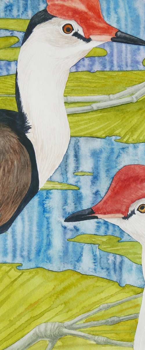 Jacana birds, part 1 by Karina Danylchuk