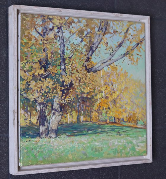 Oak tree in Tsaritsyno in October