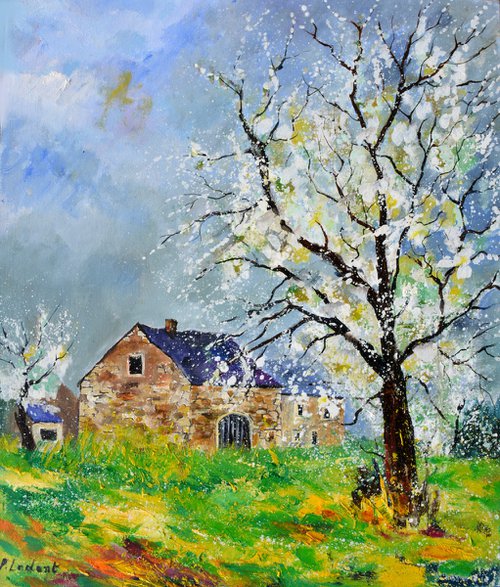 Spring near my home  5624 - Boisseille by Pol Henry Ledent