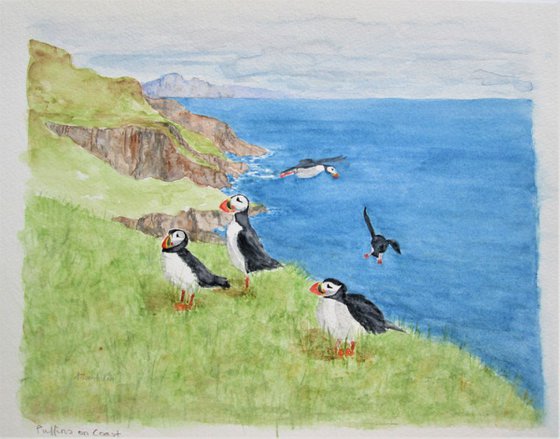 Puffins on the Coast