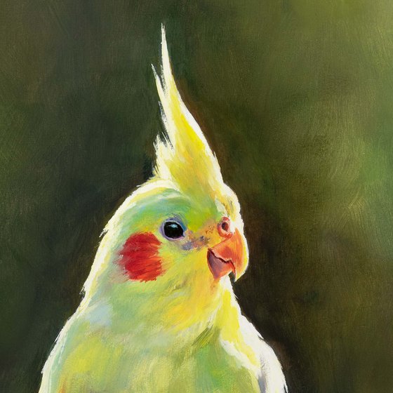 Yellow cockatiel on a branch