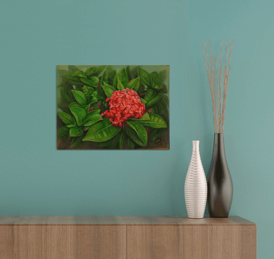 Ixora