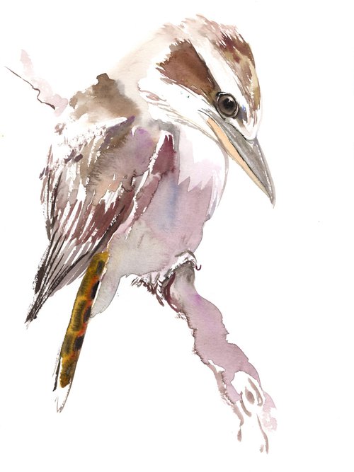 Kookaburra by Suren Nersisyan