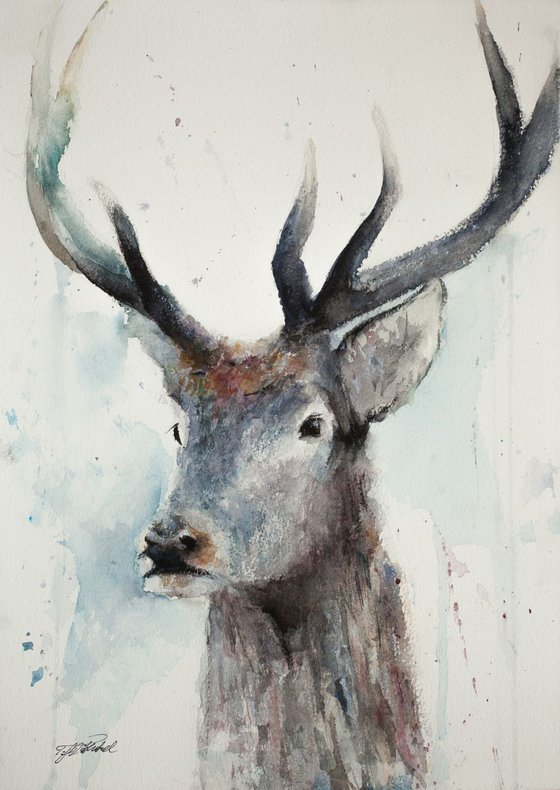 Winter Stag