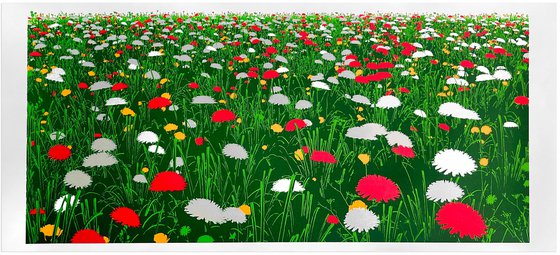 Meadow
