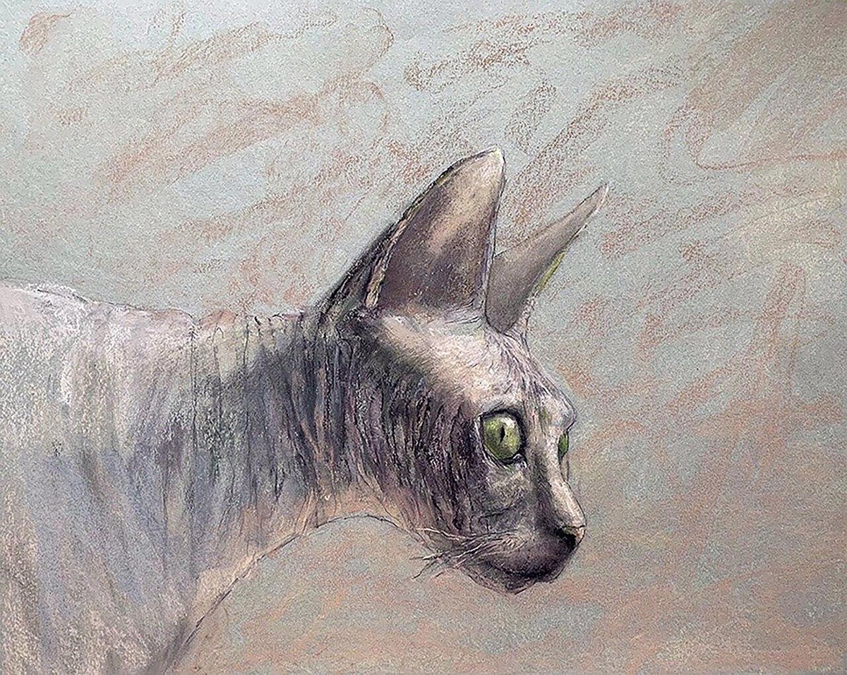 SPHINX- cat, gray, soft pastel on paper, animal, interior decoration, texture, kitten, Anc... by Tatsiana Ilyina