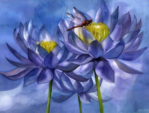 red dragonfly with blue waterlilies by Alfred  Ng