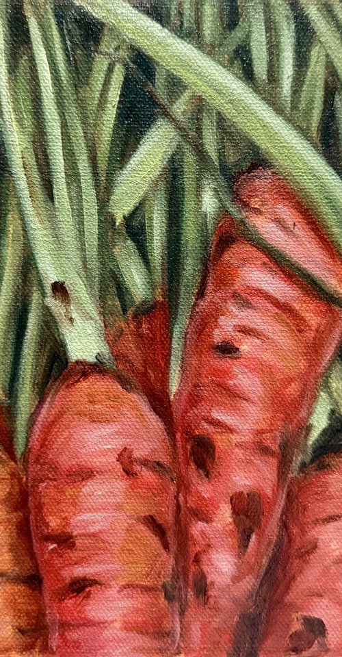 Carrots by Nimasha Perera