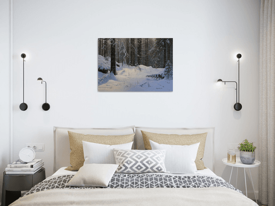 Winter in the spruce forest